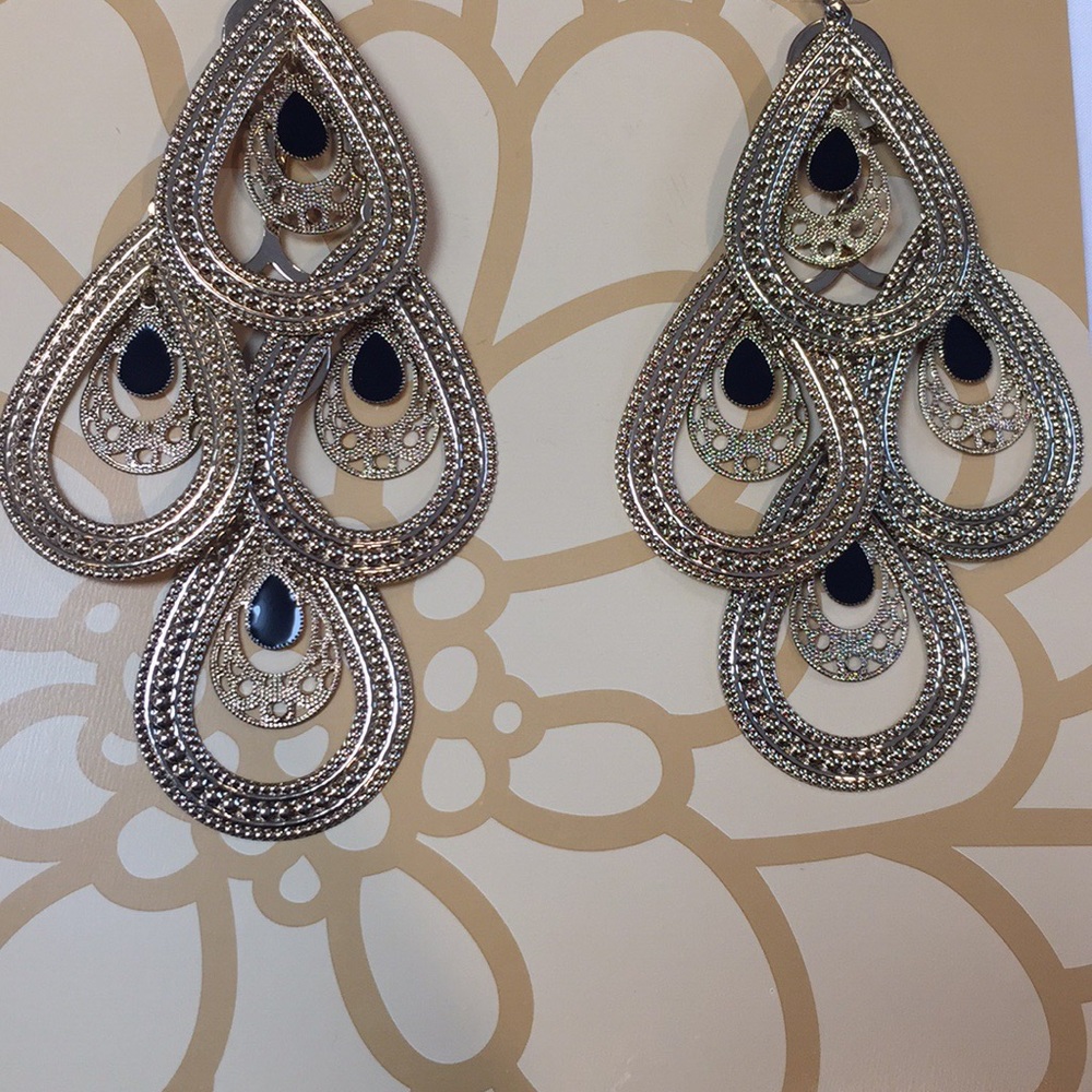 Penelope Ann Earrings! NWOT